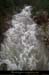 20141013_beaume_parotptam1_931