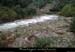 20141013_beaume_piedfrboeuf2_928