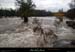 20141013_beaume_rosieres_dalles2_831