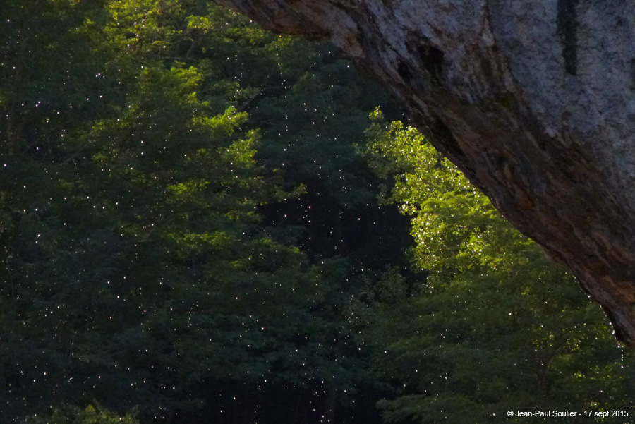 20150917jpptdarc1846a