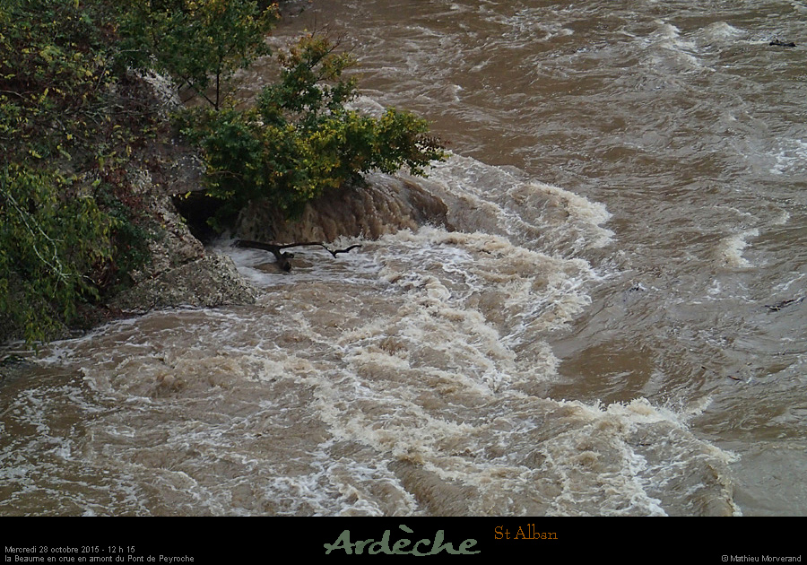 20151028_1215a