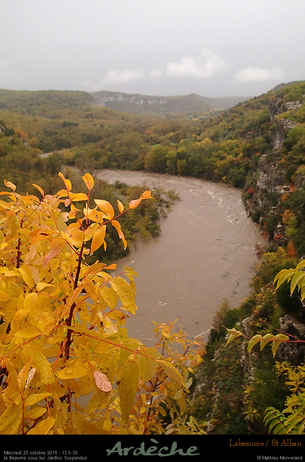 20151028_1238d