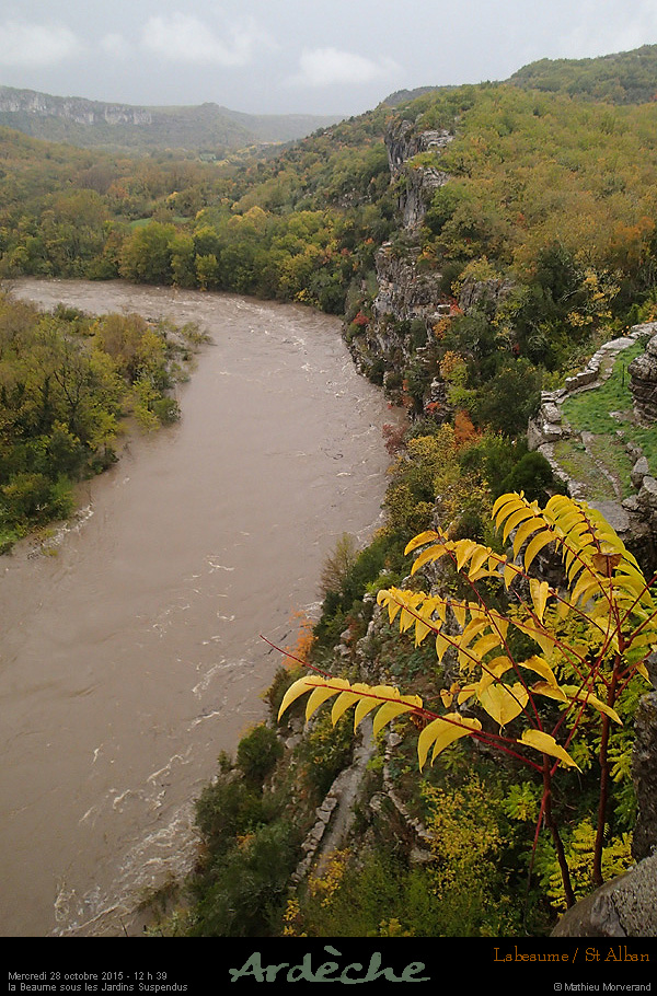 20151028_1239c