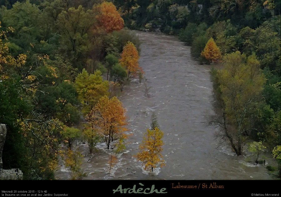 20151028_1240b