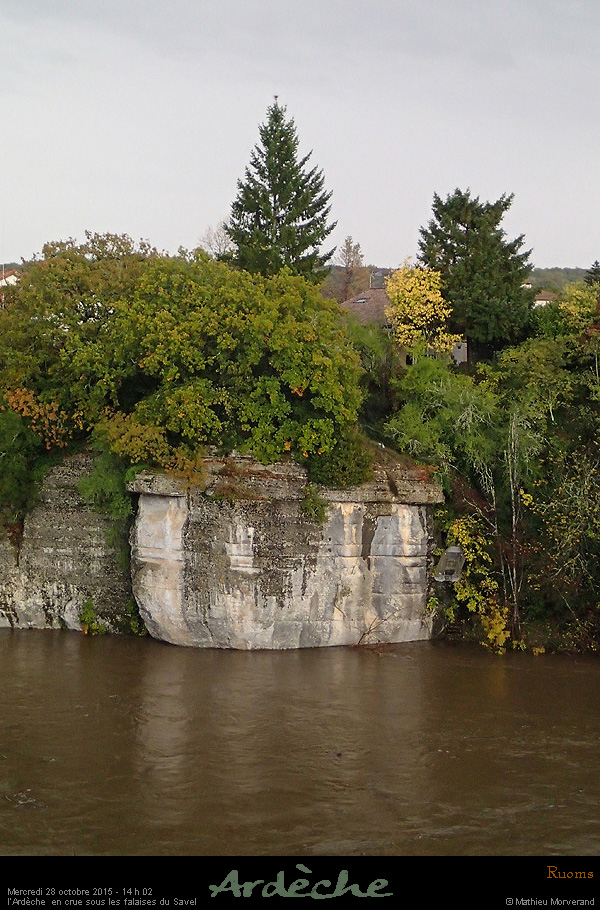 20151028_1402c