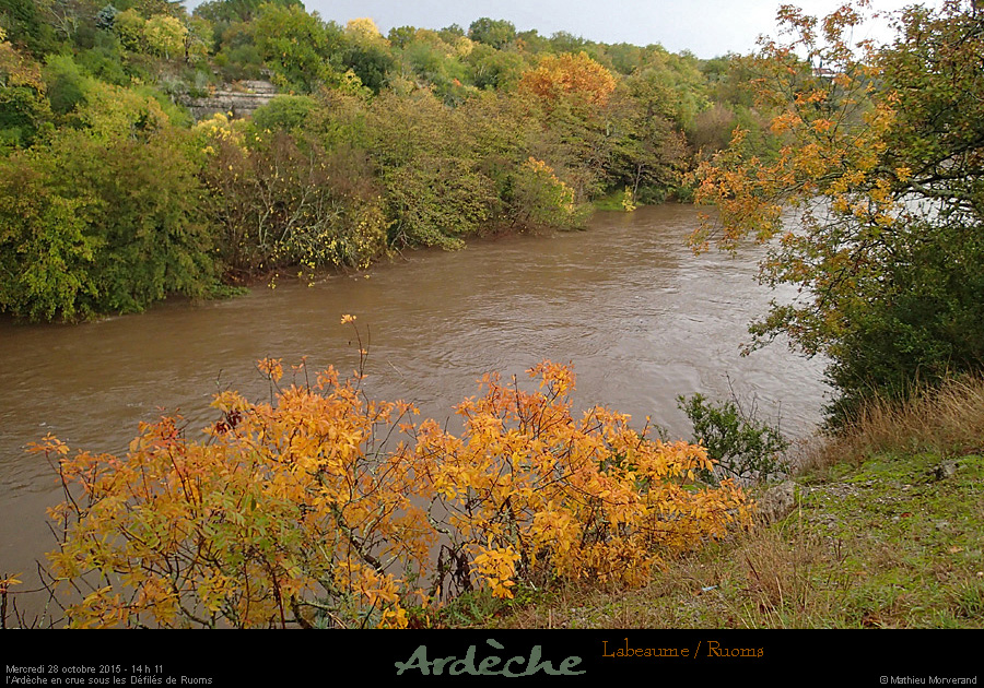 20151028_1411