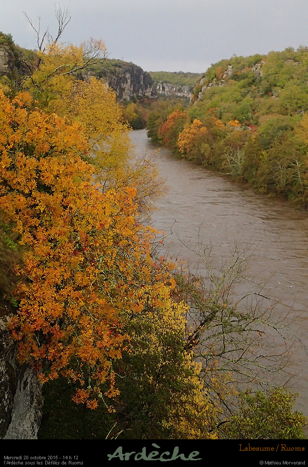 20151028_1412b