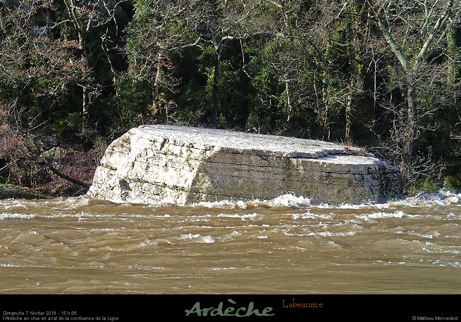 20160207_1505c