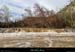 20160207_1433a