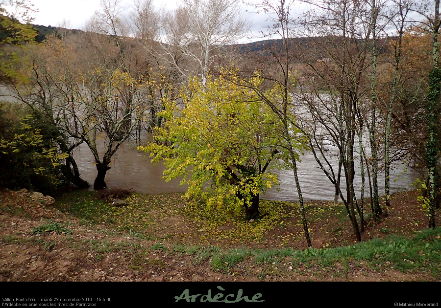 20161122_1540a