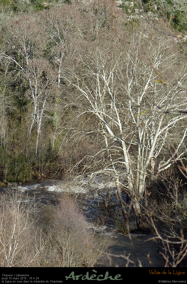 20180315_1624b