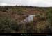 20181101_ruisseaufontgraze1