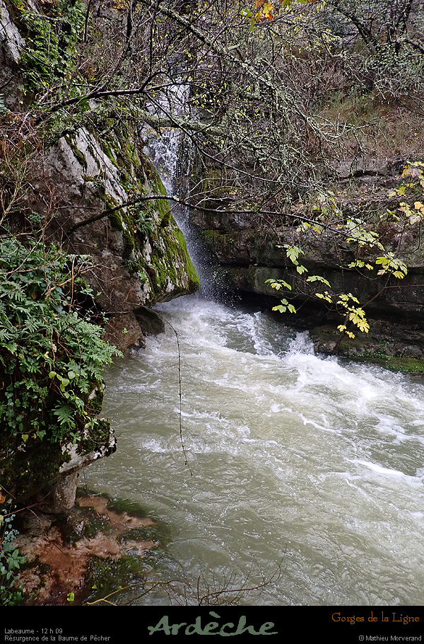 20191123_pe1209b