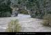 20081022_ptarc01