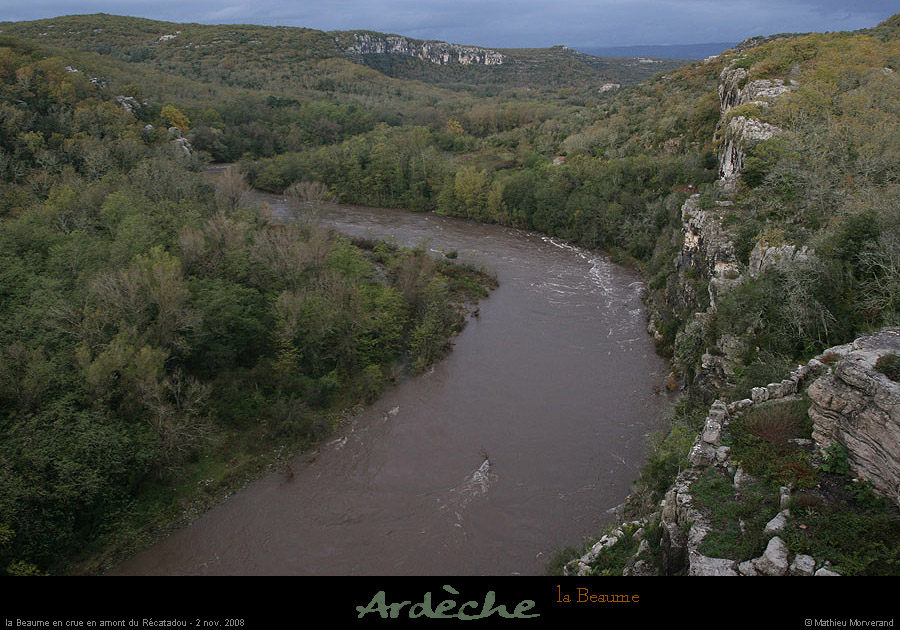 20081102_labeaume3