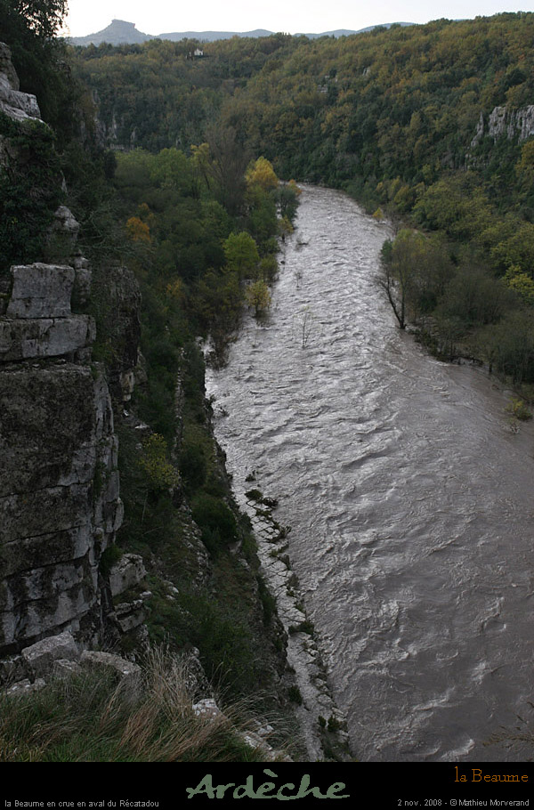 20081102_labeaume5