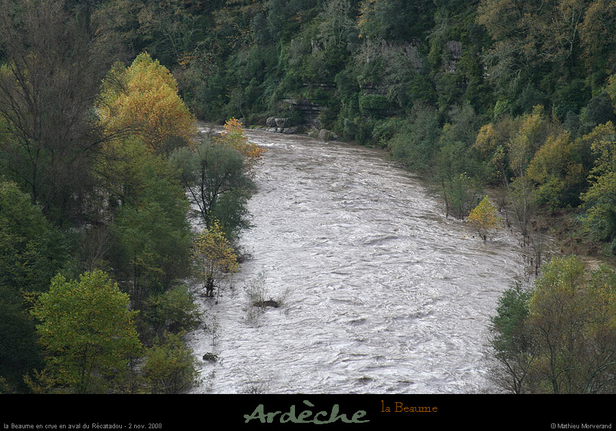 20081102_labeaume6
