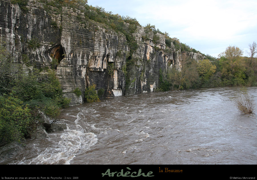 20081102_labeaume7