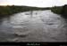 20081102_labeaume8