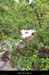 20130518_rosieres_remene_cascadeam2