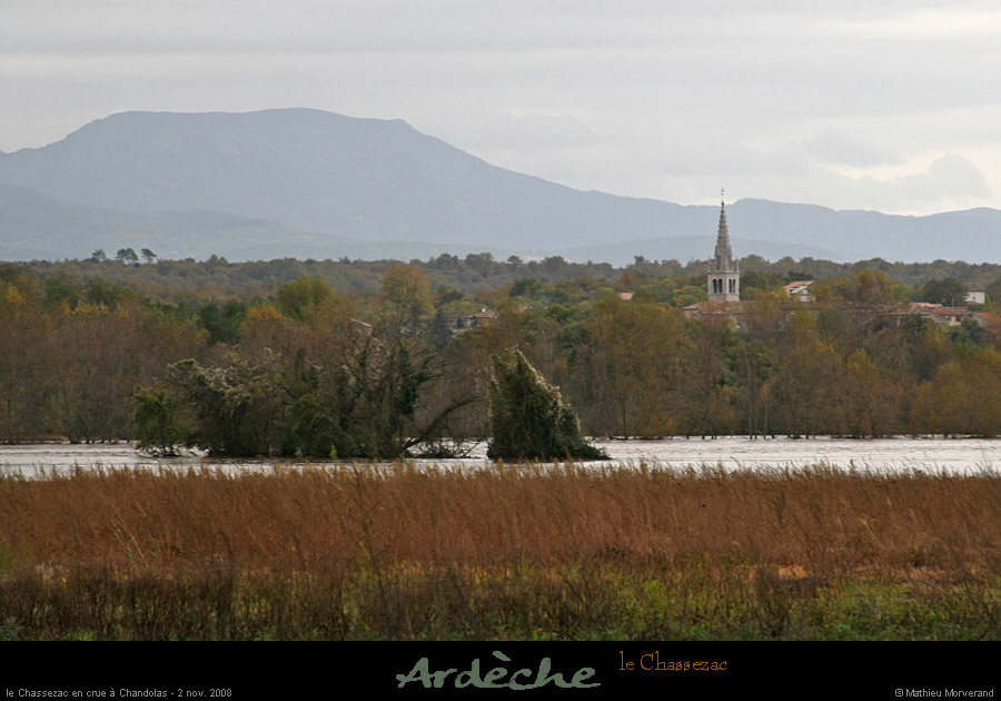 20081102_chandolas2