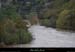 20081102_chassezac_amchaulet7