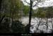 20081102_chassezacendieu