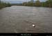 20081102_chassezacptgrospierres5