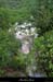 20130518_baumepechercue1