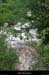 20130518_baumepechercue2