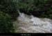 20130518_baumepechercue5