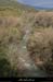 20081102_ligne3