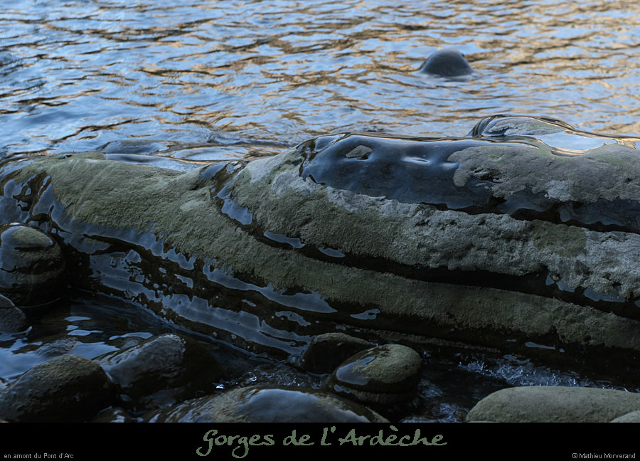 20120205_amptdarc_rochersgeles1