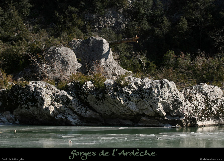 20120210_gorgesardeche_gaud_rivieregelee20