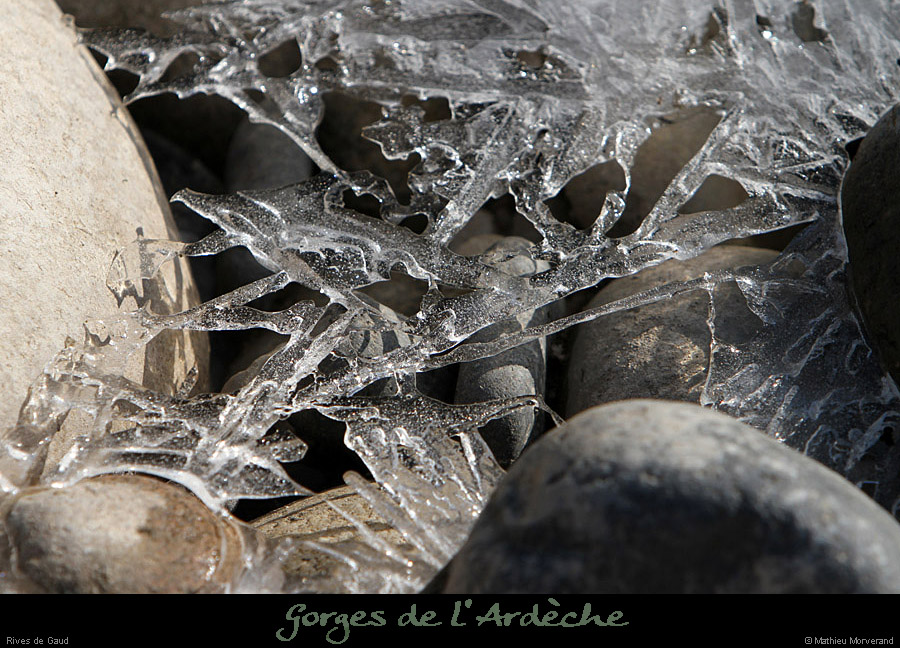 20120210_gorgesardeche_gaud_rivieregeleedetails21