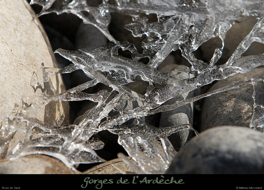 20120210_gorgesardeche_gaud_rivieregeleedetails22