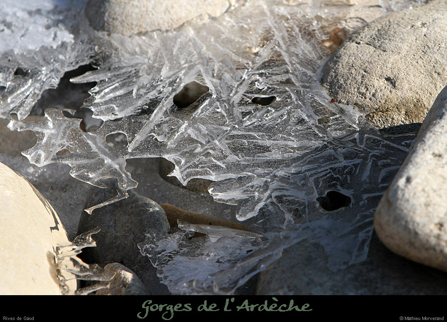20120210_gorgesardeche_gaud_rivieregeleedetails23