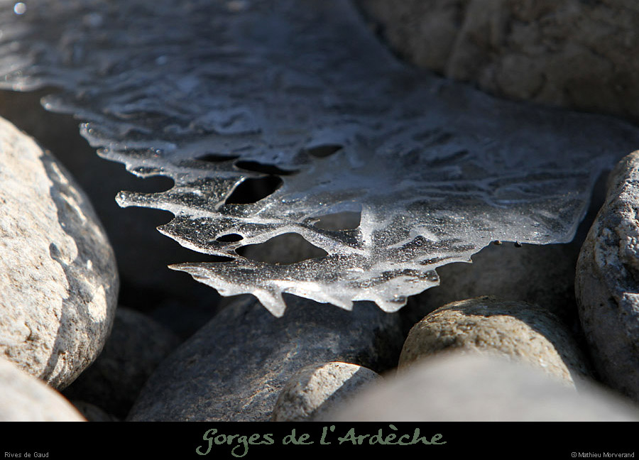 20120210_gorgesardeche_gaud_rivieregeleedetails24