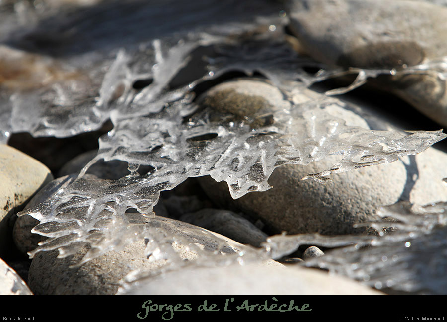 20120210_gorgesardeche_gaud_rivieregeleedetails25