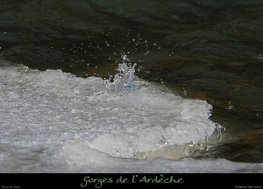 20120210_gorgesardeche_gaud_rivieregeleeerg10