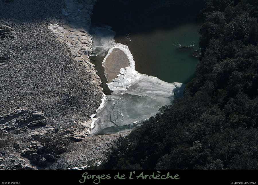 20120210_gorgesardeche_platane1