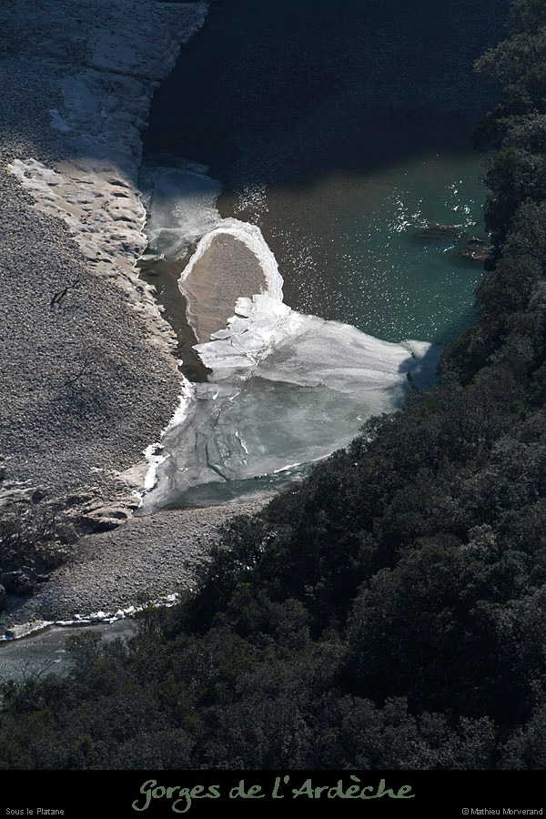 20120210_gorgesardeche_platane2