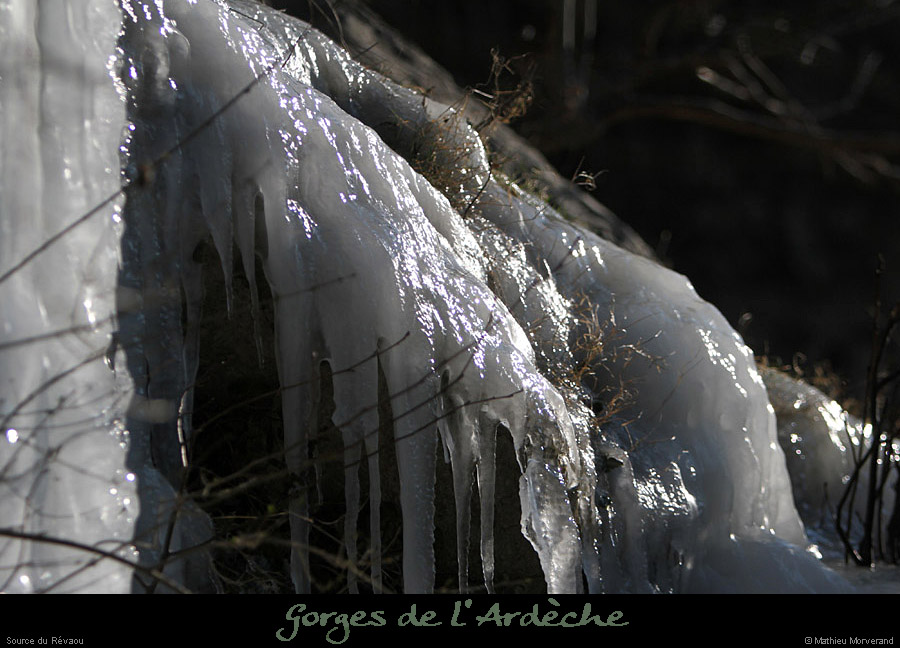 20120210_revaousource07