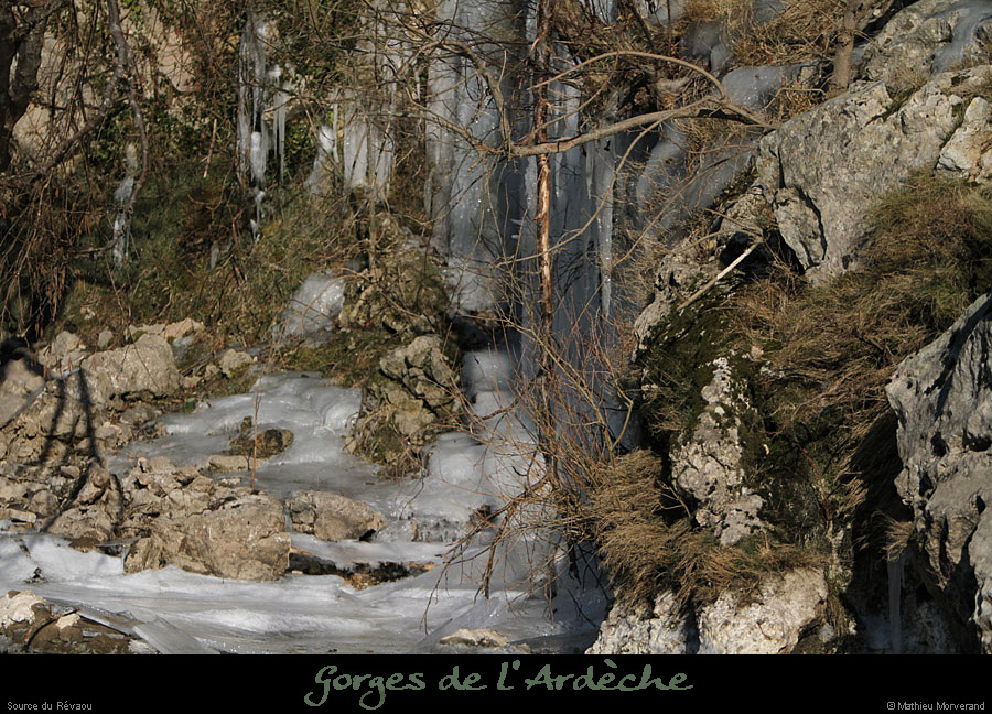 20120210_revaousource09