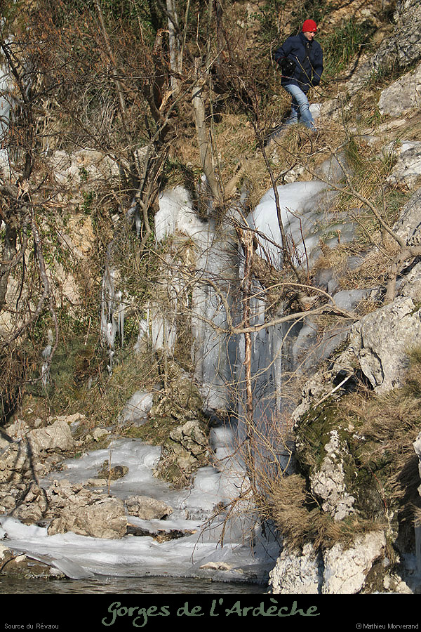 20120210_revaousource11