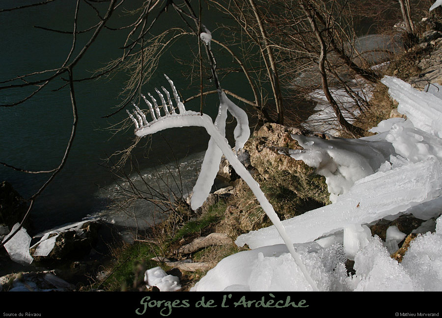 20120210_revaousource12