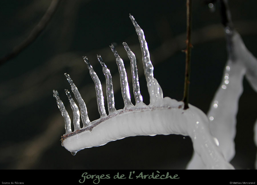 20120210_revaousource13