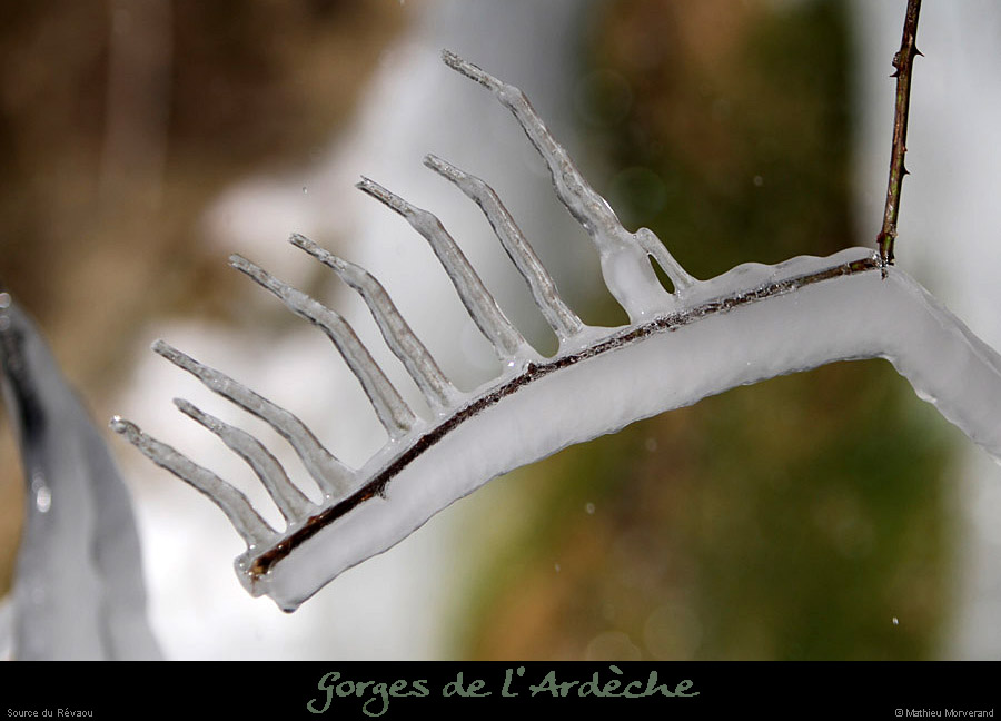 20120210_revaousource16