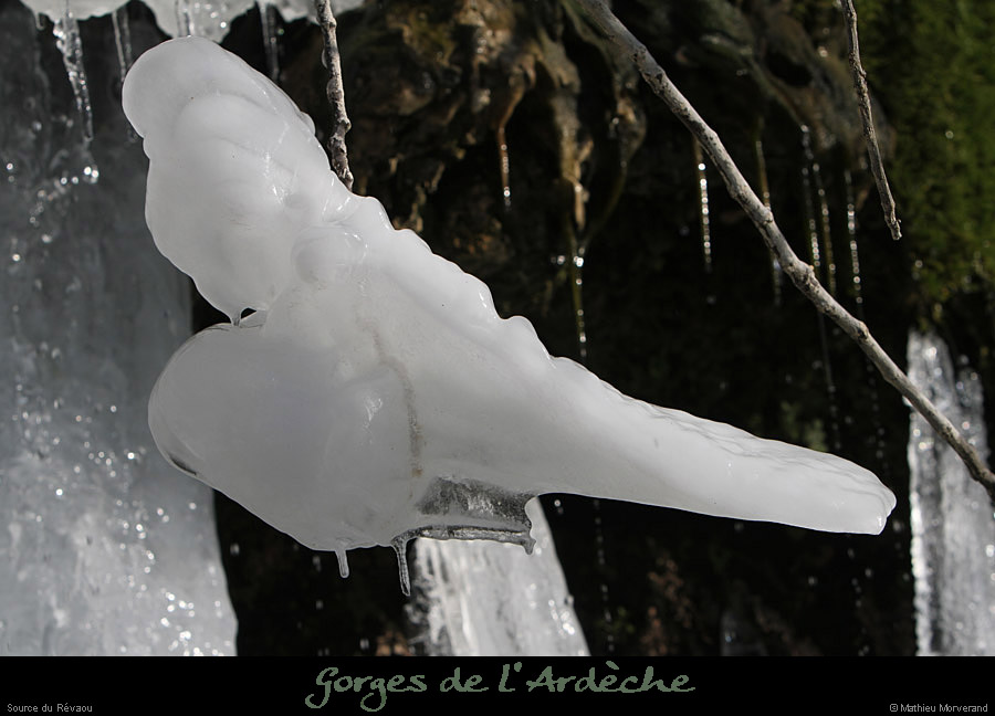 20120210_revaousource18