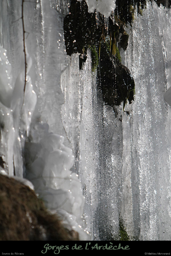 20120210_revaousource19